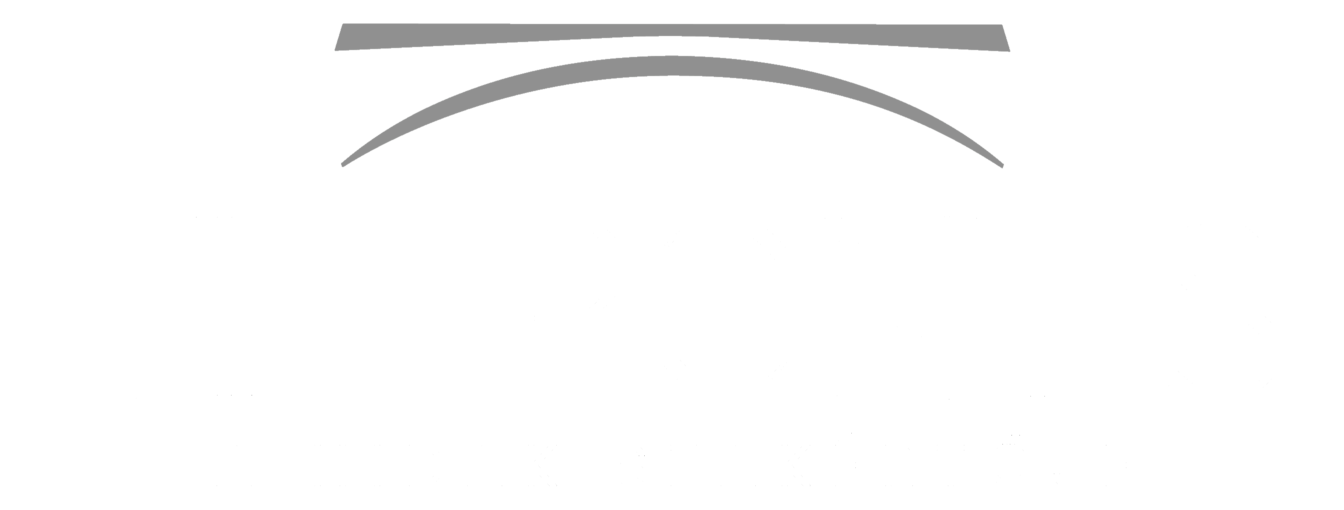 viapontis Logo