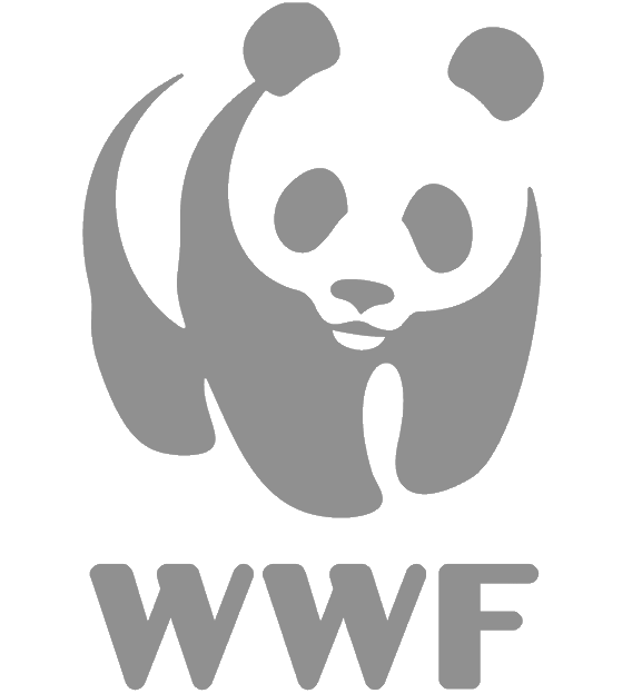 WWF Logo